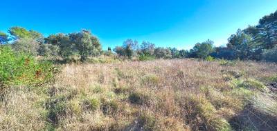 Terrain seul à Bagnols-en-Forêt en Var (83) de 1791 m² à vendre au prix de 230000€ - 2