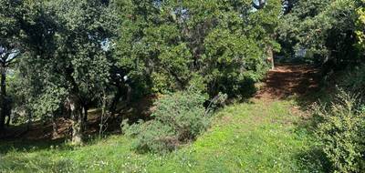 Programme terrain + maison à Sainte-Maxime en Var (83) de 155 m² à vendre au prix de 1290000€ - 4