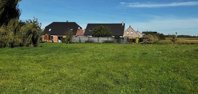 Programme terrain + maison à Gœulzin en Nord (59) de 135 m² à vendre au prix de 416000€ - 3