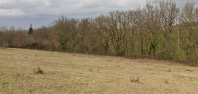 Terrain seul à Auterive en Haute-Garonne (31) de 800 m² à vendre au prix de 77000€ - 3