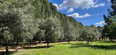Terrain seul à Lézignan-la-Cèbe en Hérault (34) de 413 m² à vendre au prix de 123500€ - 2