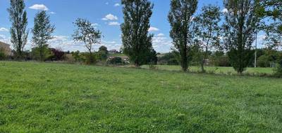 Programme terrain + maison à Dénat en Tarn (81) de 91 m² à vendre au prix de 190000€ - 4
