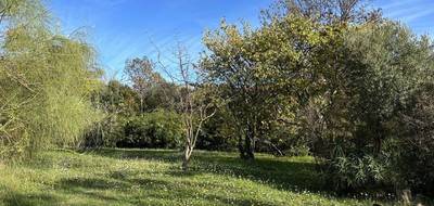 Programme terrain + maison à Solliès-Pont en Var (83) de 82 m² à vendre au prix de 369000€ - 4