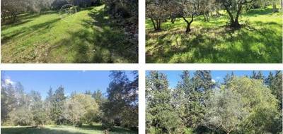 Programme terrain + maison à Draguignan en Var (83) de 90 m² à vendre au prix de 379000€ - 4