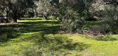 Terrain seul à La Cadière-d'Azur en Var (83) de 2951 m² à vendre au prix de 797000€ - 1