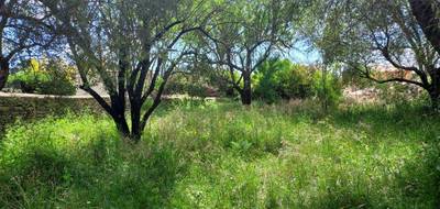 Terrain seul à Cuers en Var (83) de 597 m² à vendre au prix de 215000€ - 2