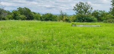 Terrain seul à Roquebrune-sur-Argens en Var (83) de 960 m² à vendre au prix de 290000€ - 2