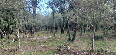 Terrain seul à Sainte-Anastasie-sur-Issole en Var (83) de 957 m² à vendre au prix de 161000€ - 4
