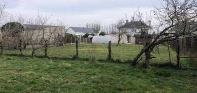 Programme terrain + maison à Longué-Jumelles en Maine-et-Loire (49) de 89 m² à vendre au prix de 224027€ - 3