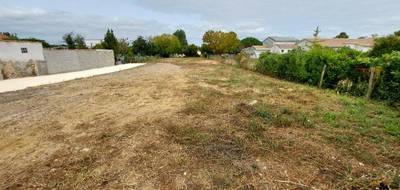 Programme terrain + maison à La Tremblade en Charente-Maritime (17) de 96 m² à vendre au prix de 485000€ - 4