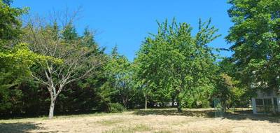 Terrain seul à Soyaux en Charente (16) de 424 m² à vendre au prix de 56500€ - 3