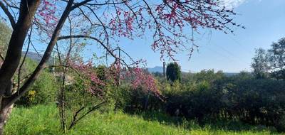 Terrain seul à Grasse en Alpes-Maritimes (06) de 840 m² à vendre au prix de 275000€ - 3