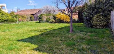 Terrain seul à Colmar en Haut-Rhin (68) de 426 m² à vendre au prix de 199000€ - 3