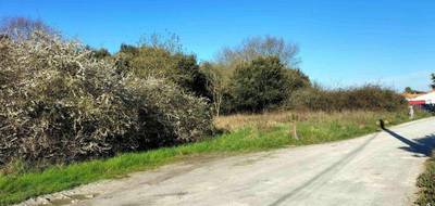 Programme terrain + maison à Dolus-d'Oléron en Charente-Maritime (17) de 46 m² à vendre au prix de 194787€ - 3