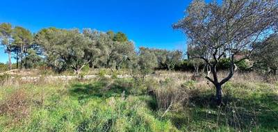 Programme terrain + maison à Bagnols-en-Forêt en Var (83) de 98 m² à vendre au prix de 363000€ - 4