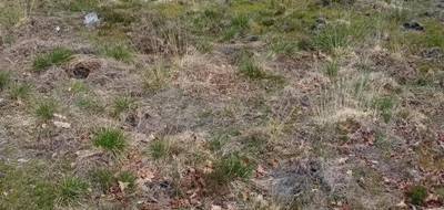 Terrain seul à Salles en Gironde (33) de 435 m² à vendre au prix de 155000€ - 2