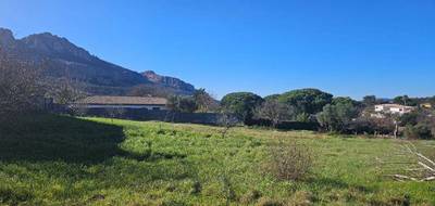 Terrain seul à Roquebrune-sur-Argens en Var (83) de 887 m² à vendre au prix de 280000€ - 2