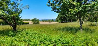 Terrain seul à Saint-Martin-Terressus en Haute-Vienne (87) de 1245 m² à vendre au prix de 35000€ - 1