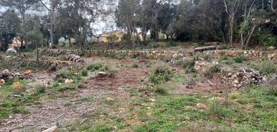 Terrain seul à Montfort-sur-Argens en Var (83) de 1200 m² à vendre au prix de 145000€ - 3