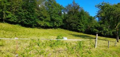 Terrain seul à Saint-Léger-la-Montagne en Haute-Vienne (87) de 2729 m² à vendre au prix de 23000€ - 2