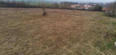 Terrain seul à Billom en Puy-de-Dôme (63) de 585 m² à vendre au prix de 68000€ - 2