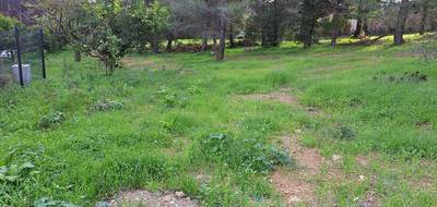 Programme terrain + maison à La Seyne-sur-Mer en Var (83) de 120 m² à vendre au prix de 630000€ - 4