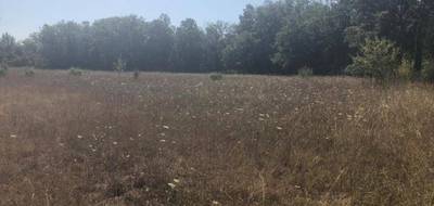 Terrain seul à Régusse en Var (83) de 700 m² à vendre au prix de 77000€ - 2