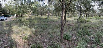 Terrain seul à Le Thoronet en Var (83) de 500 m² à vendre au prix de 135000€ - 4