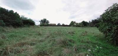 Programme terrain + maison à Cassagnabère-Tournas en Haute-Garonne (31) de 110 m² à vendre au prix de 199500€ - 4