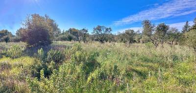 Terrain seul à Bagnols-en-Forêt en Var (83) de 1791 m² à vendre au prix de 230000€ - 1