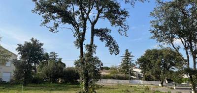 Terrain seul à Bollène en Vaucluse (84) de 353 m² à vendre au prix de 73000€ - 3