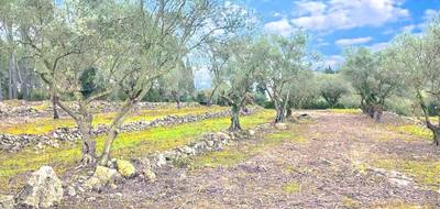 Terrain seul à Bagnols-en-Forêt en Var (83) de 2074 m² à vendre au prix de 250000€ - 3