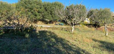 Programme terrain + maison à Saint-Cyr-sur-Mer en Var (83) de 115 m² à vendre au prix de 686000€ - 4