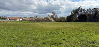 Terrain seul à Villeneuve-en-Retz en Loire-Atlantique (44) de 371 m² à vendre au prix de 75900€ - 4