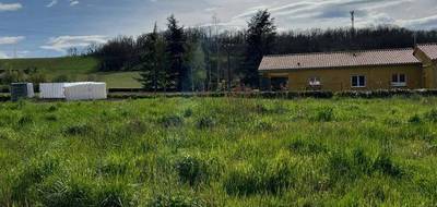 Terrain seul à Lavaur en Tarn (81) de 598 m² à vendre au prix de 43000€ - 2