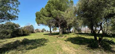 Programme terrain + maison à Fréjus en Var (83) de 113 m² à vendre au prix de 450000€ - 3