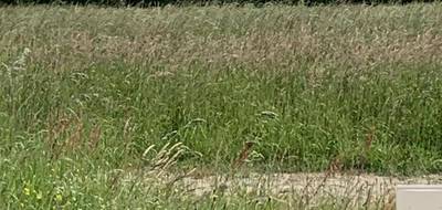 Programme terrain + maison à Chavagnes-en-Paillers en Vendée (85) de 100 m² à vendre au prix de 219740€ - 4
