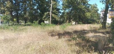 Terrain seul à Audenge en Gironde (33) de 600 m² à vendre au prix de 190000€ - 2