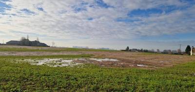 Programme terrain + maison à Bréauté en Seine-Maritime (76) de 81 m² à vendre au prix de 211000€ - 3