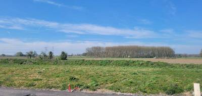 Terrain seul à Ennevelin en Nord (59) de 1326 m² à vendre au prix de 245000€ - 1