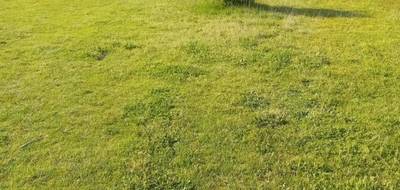Terrain seul à Gujan-Mestras en Gironde (33) de 512 m² à vendre au prix de 266000€ - 4