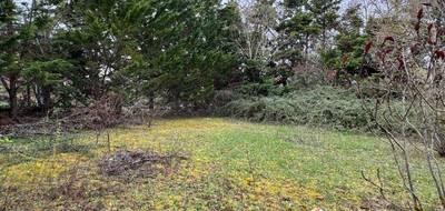 Terrain seul à Labastide-Beauvoir en Haute-Garonne (31) de 610 m² à vendre au prix de 120000€ - 2