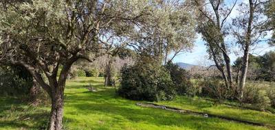 Terrain seul à La Cadière-d'Azur en Var (83) de 2000 m² à vendre au prix de 595000€ - 1