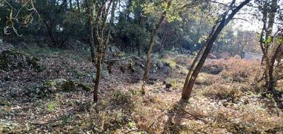 Terrain seul à Tourves en Var (83) de 505 m² à vendre au prix de 145000€ - 4