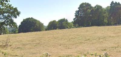 Terrain seul à Villers-sur-Mer en Calvados (14) de 741 m² à vendre au prix de 250000€ - 1