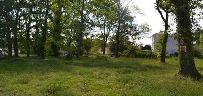 Terrain seul à Audenge en Gironde (33) de 815 m² à vendre au prix de 250000€ - 2