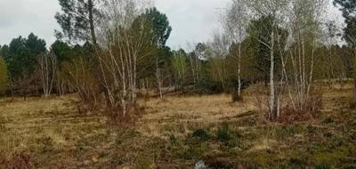 Terrain seul à Le Teich en Gironde (33) de 340 m² à vendre au prix de 220000€ - 1