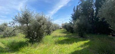 Terrain seul à Sainte-Tulle en Alpes-de-Haute-Provence (04) de 614 m² à vendre au prix de 150000€ - 2