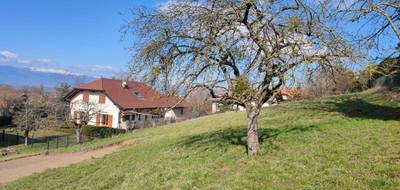 Programme terrain + maison à Neydens en Haute-Savoie (74) de 107 m² à vendre au prix de 576210€ - 3