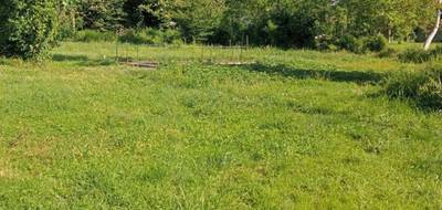 Terrain seul à Loches en Indre-et-Loire (37) de 600 m² à vendre au prix de 50000€ - 1